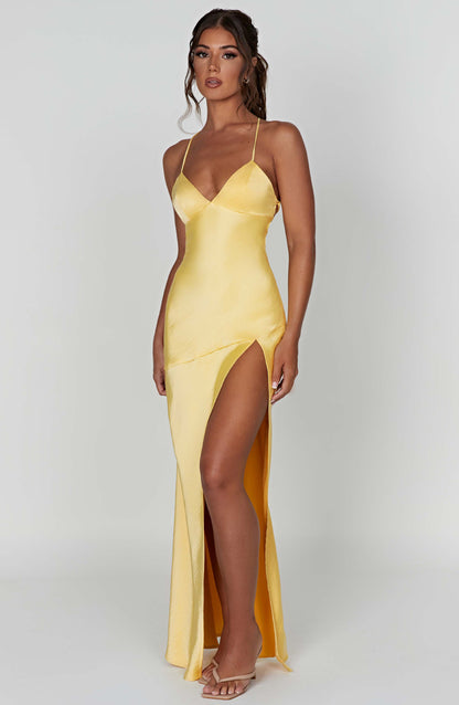 Alexander Saint Maxi Dress